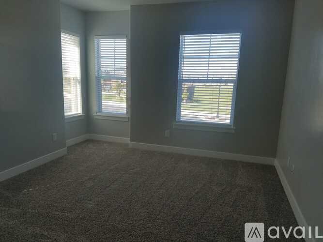 A room with two windows and carpeted flooring is available.
