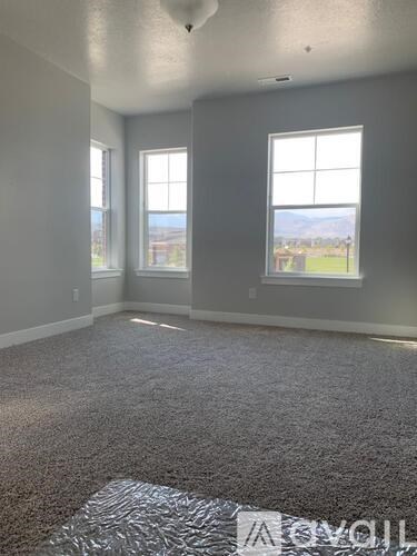 A room with grey carpet and two windows.
