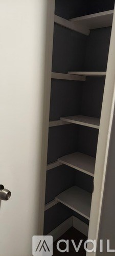 A white door with a handle is open to reveal a series of empty shelves.