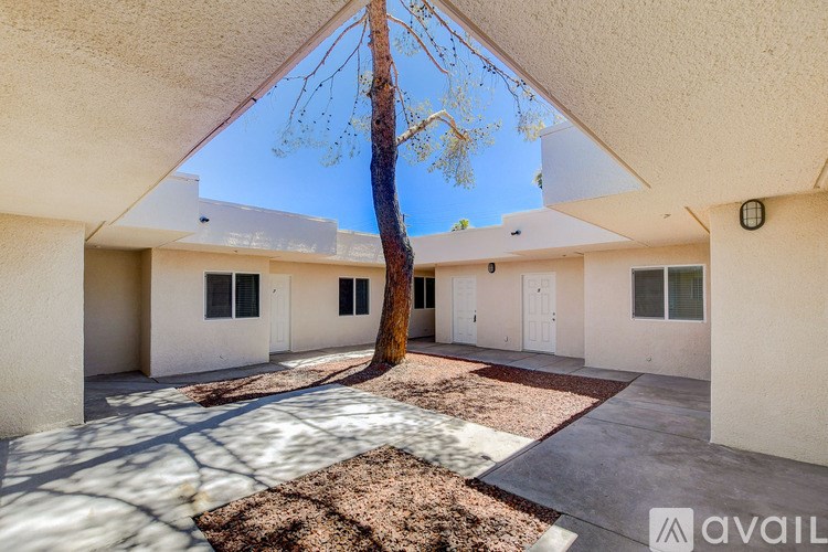 A tree in a courtyard with a building in the background.