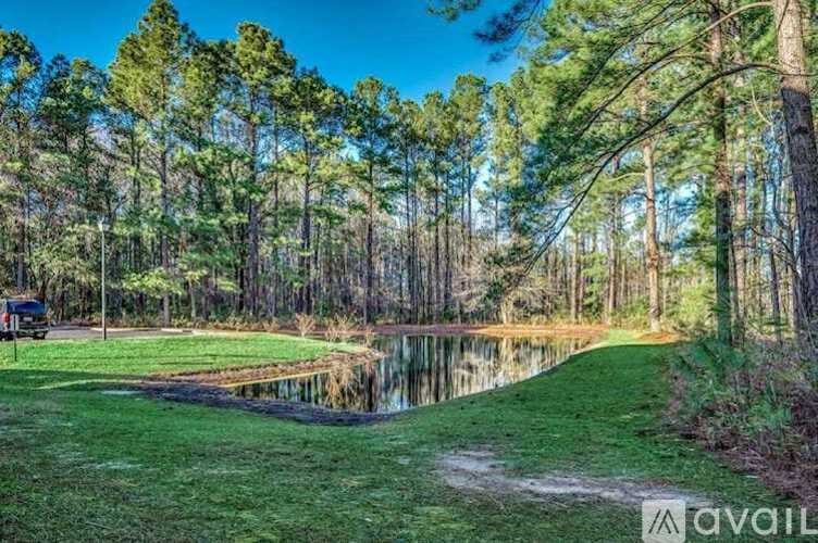 A serene landscape with a pond, trees, and a clear sky.