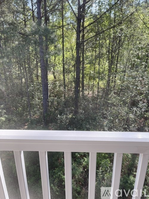A view from a balcony overlooking a forest.