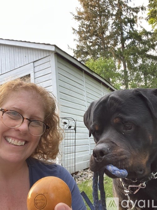 A woman with glasses is holding a doughnut and a dog is holding a blue toy in its mouth.