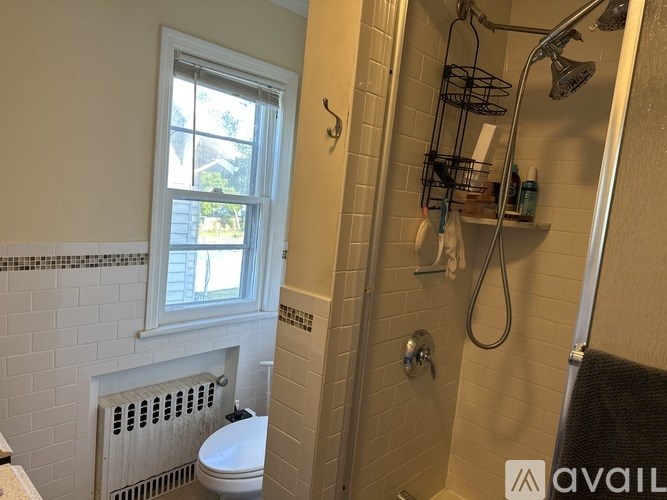 A bathroom with a window, toilet, and shower.