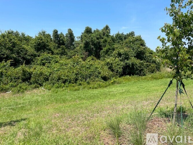 A grassy field with trees in the background and a tripod in the foreground.