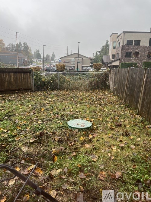 A backyard with a green frisbee in the middle of a grassy area with fallen leaves.