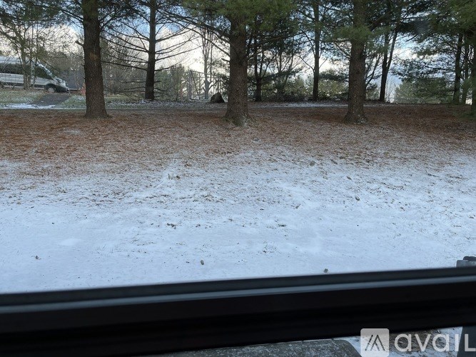 A snowy landscape with trees and a house in the distance.
