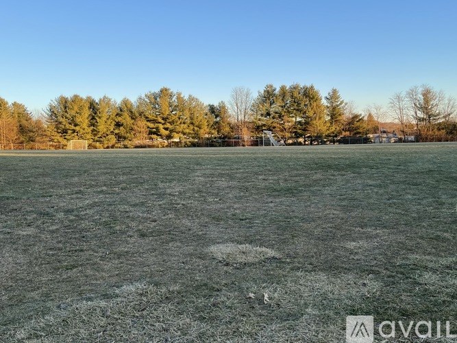 A field covered in frost with trees in the background.