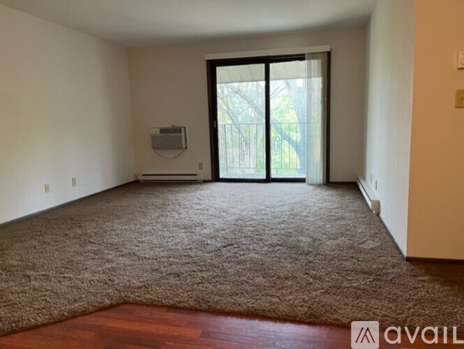 A room with a carpeted floor and a sliding glass door leading outside.