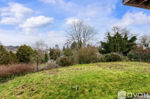 A grassy field with trees and a fence in the distance.