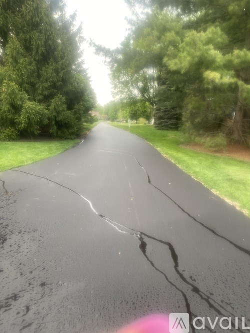 A road with a crack running down the middle surrounded by trees.