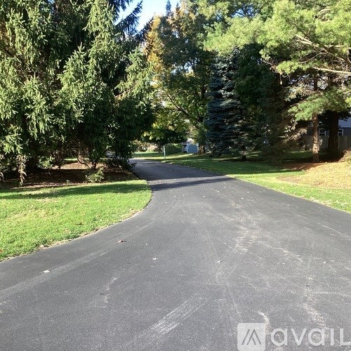 A tree-lined street curves to the right in the distance.