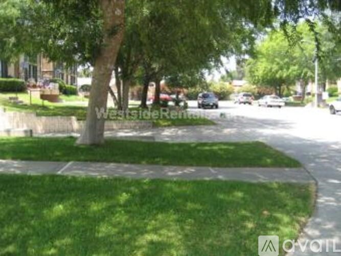 A tree in a grassy area with a street in the background.
