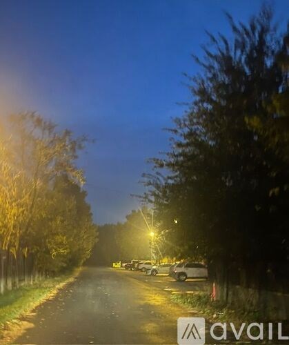 A road with trees on both sides and street lights on.
