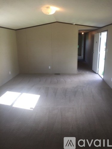 A room with a carpeted floor and a window letting in sunlight.