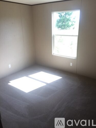 A room with a window and a carpeted floor.