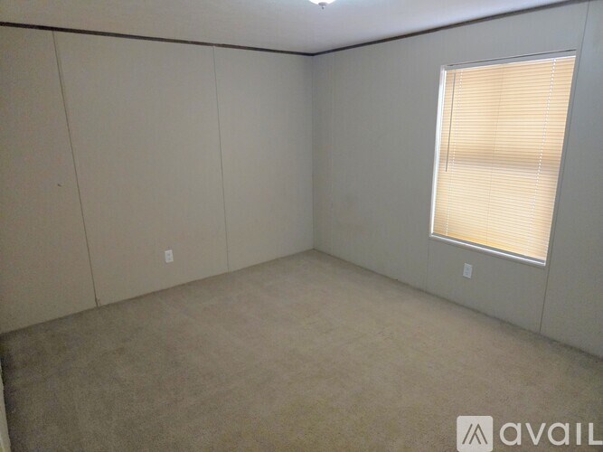 A room with a window covered by blinds and a carpet on the floor.