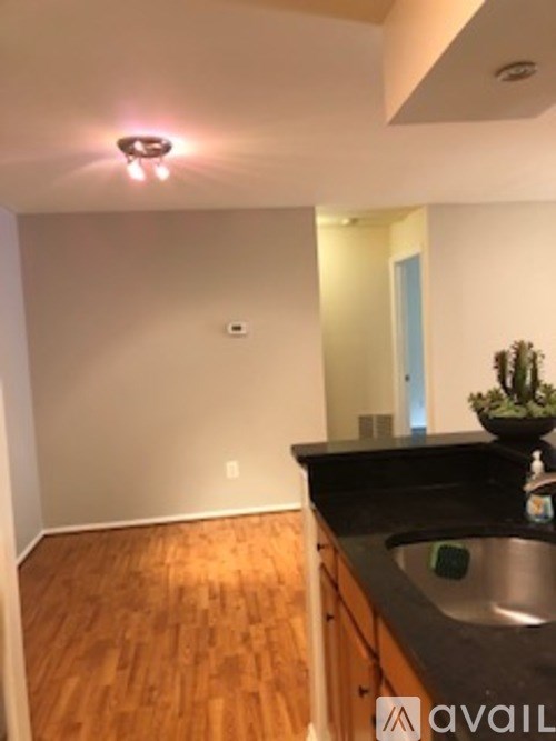 A kitchen with a sink and a plant on the counter.