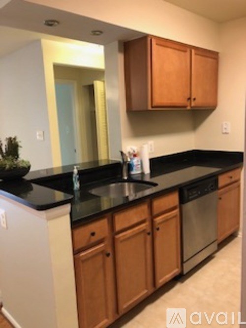 A kitchen with wooden cabinets and black countertops.