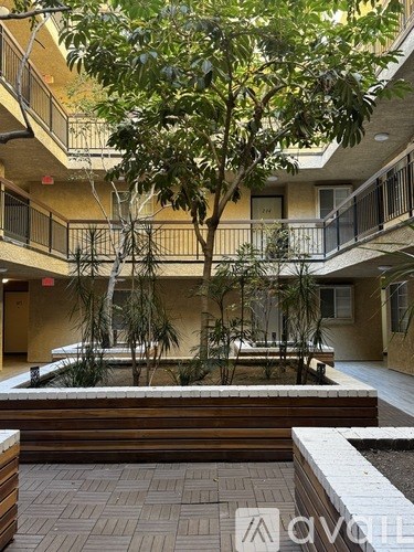 A tree in a courtyard with apartment buildings in the background.