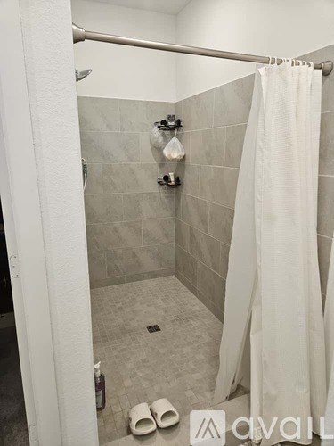 A bathroom with a shower curtain and a pair of slippers.