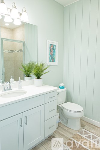 A bathroom with a white toilet and a white sink with a plant on the counter.