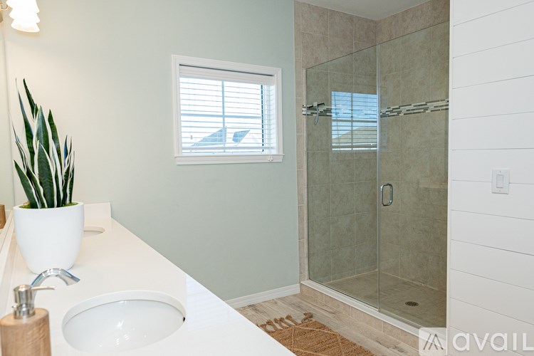 A bathroom with a white sink, a potted plant, and a glass shower door.