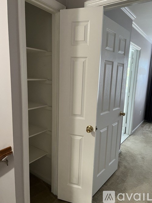 A white door with a gold handle is open.
