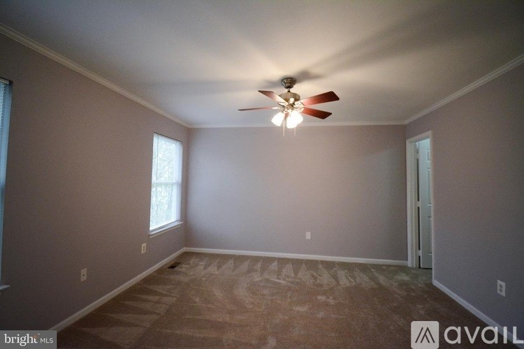 A room with a ceiling fan and carpeted floor.