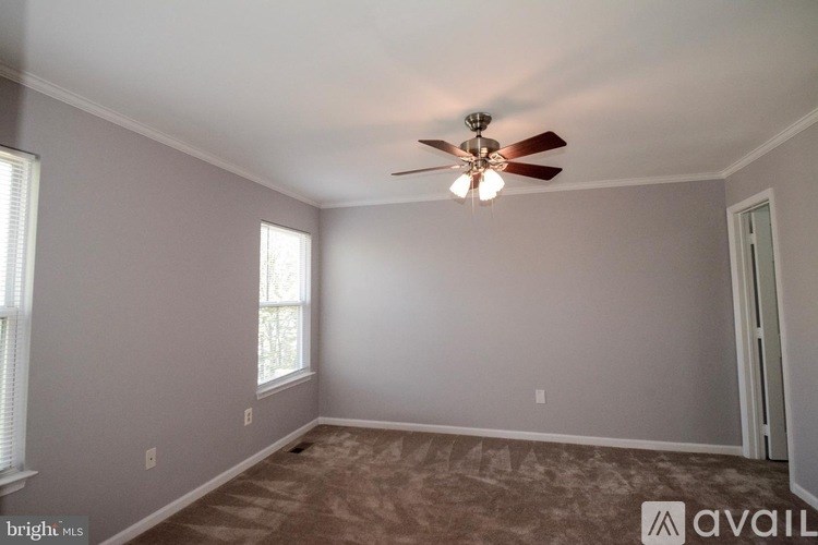 A room with a ceiling fan and carpeted floor.