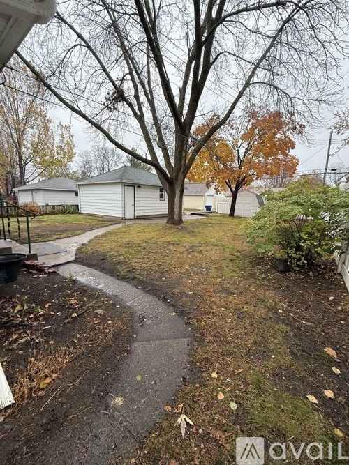 A tree with no leaves stands in a yard.