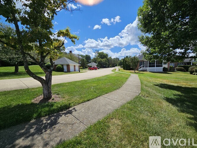A tree stands on a sidewalk in front of a house.