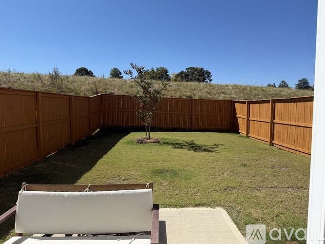 A backyard with a white chair and a small tree in the middle.