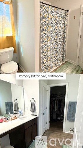 A bathroom with a toilet, sink, mirror, and shower curtain.