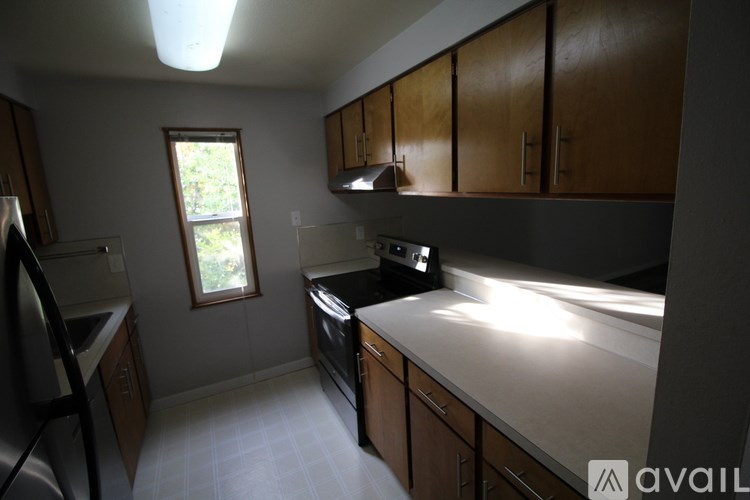 A kitchen with wooden cabinets and a window.