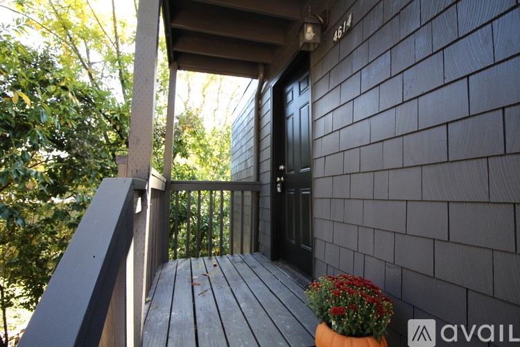 A balcony with a door and a potted plant.