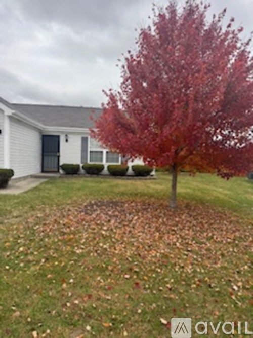 A tree with red leaves stands in a grassy area in front of a house.