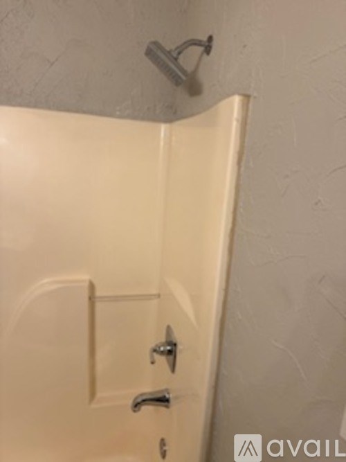 A white door with a silver handle and a silver shower head above it.