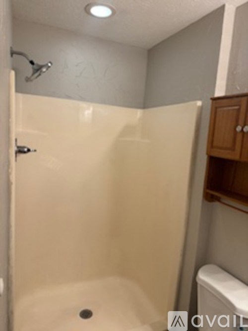 A bathroom with a white toilet and a walk-in shower.