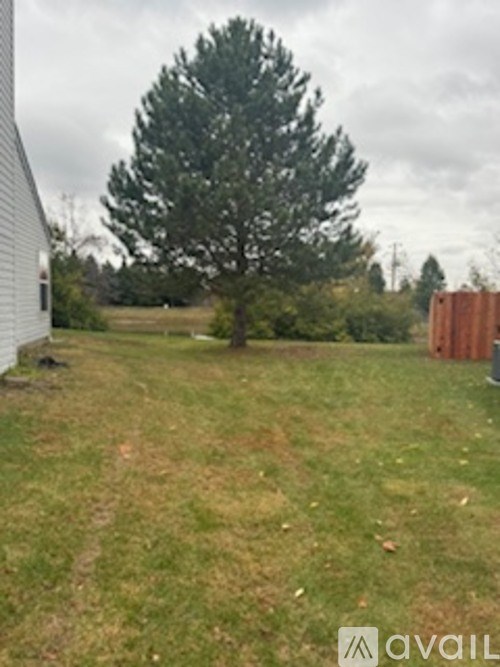A backyard with a tree and a fence.