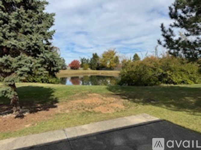 A tree-lined field with a pond in the distance.