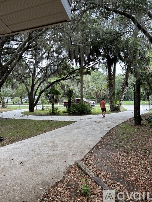 A person in a red shirt walks down a tree-lined sidewalk.