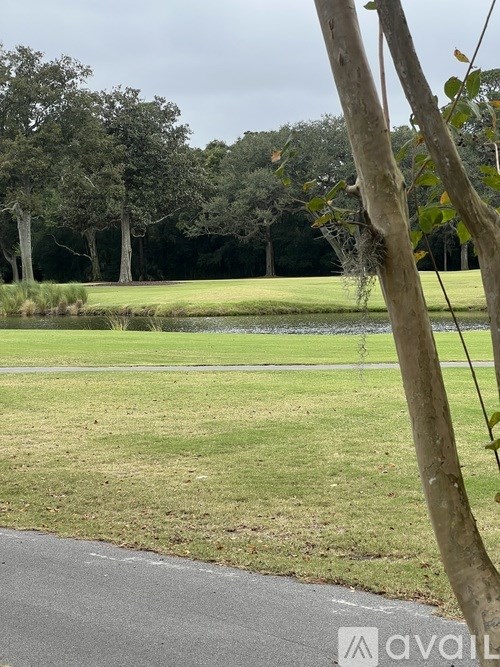 A tree branch is in the foreground of a grassy area with a pond and trees in the background.
