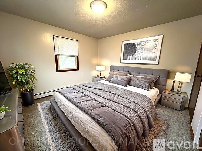 A bedroom with a large bed and a plant on the side table.