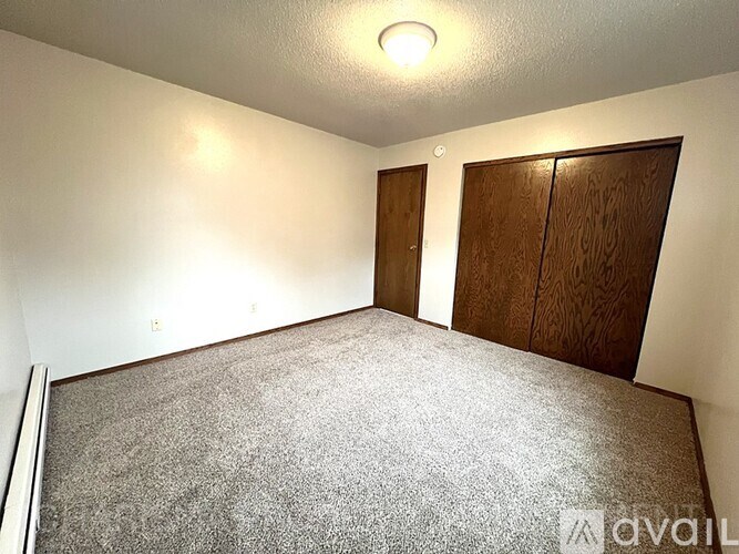 A room with a grey carpet and two wooden doors.