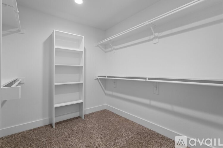 A white closet with shelves and a carpeted floor.