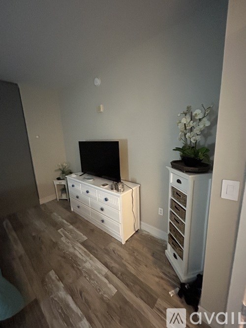 A room with a tv, a white cabinet, and a plant on top of a white cabinet.