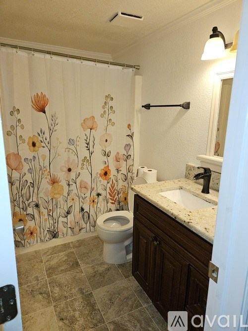 A bathroom with a toilet, sink, and shower curtain.