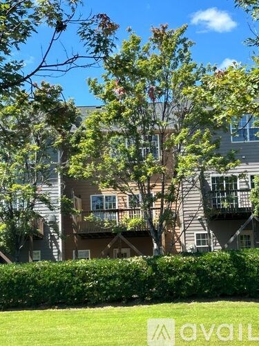 A tree with green leaves in front of a building.