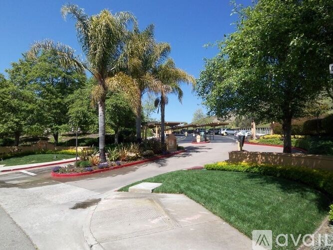 A sunny day at the park with palm trees and a walking path.